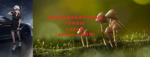 2c-b Беломорск