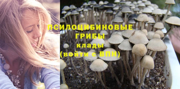 бутират Белокуриха