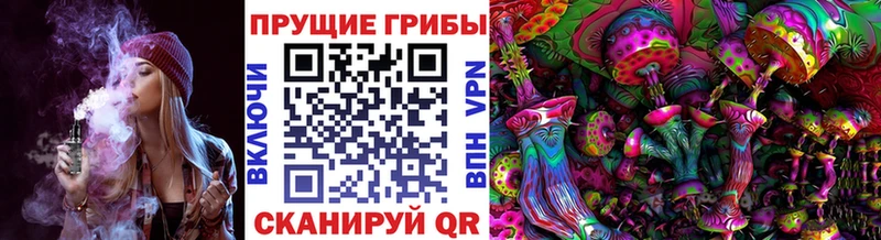 Псилоцибиновые грибы MAGIC MUSHROOMS где продают Бутурлиновка